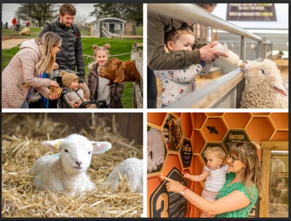 Kids go free at Cotswold Farm Park this May